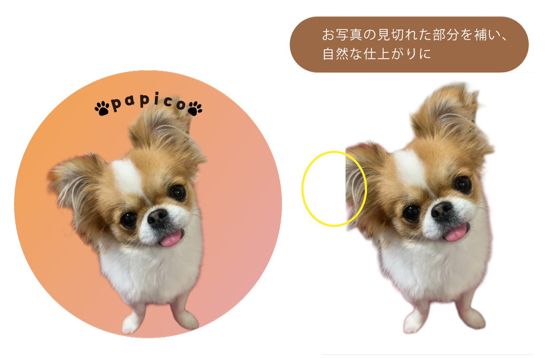 愛犬のお写真の見切れた耳を補完し、お名前とご希望の肉球マークを入れた44mm缶バッジの制作例